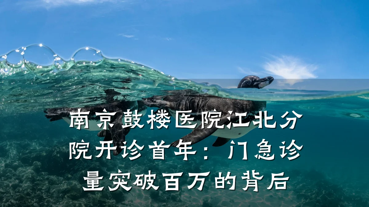 南京鼓楼医院江北分院开诊首年：门急诊量突破百万的背后