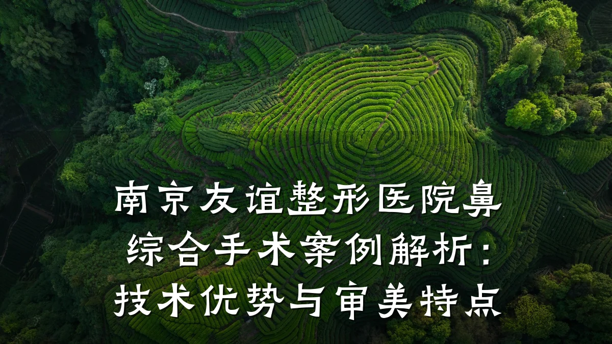 南京友谊整形医院鼻综合手术案例解析:技术优势与审美特点