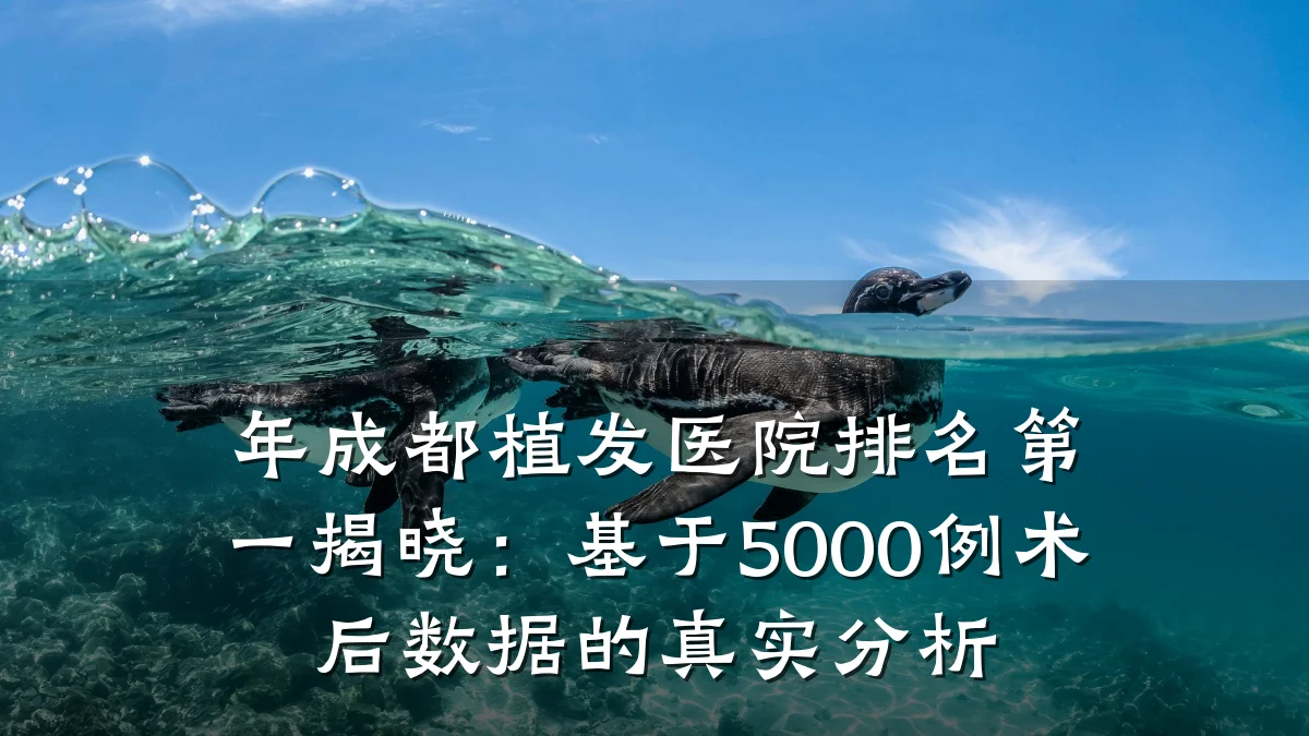 年成都植发医院排名第一揭晓：基于5000例术后数据的真实分析