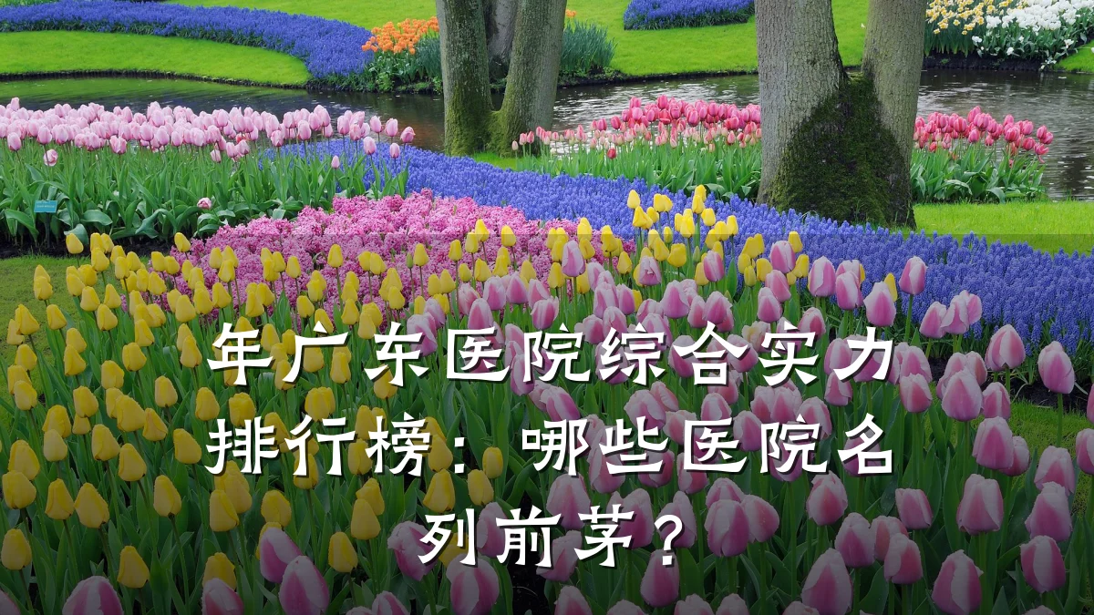 年广东医院综合实力排行榜:哪些医院名列前茅?