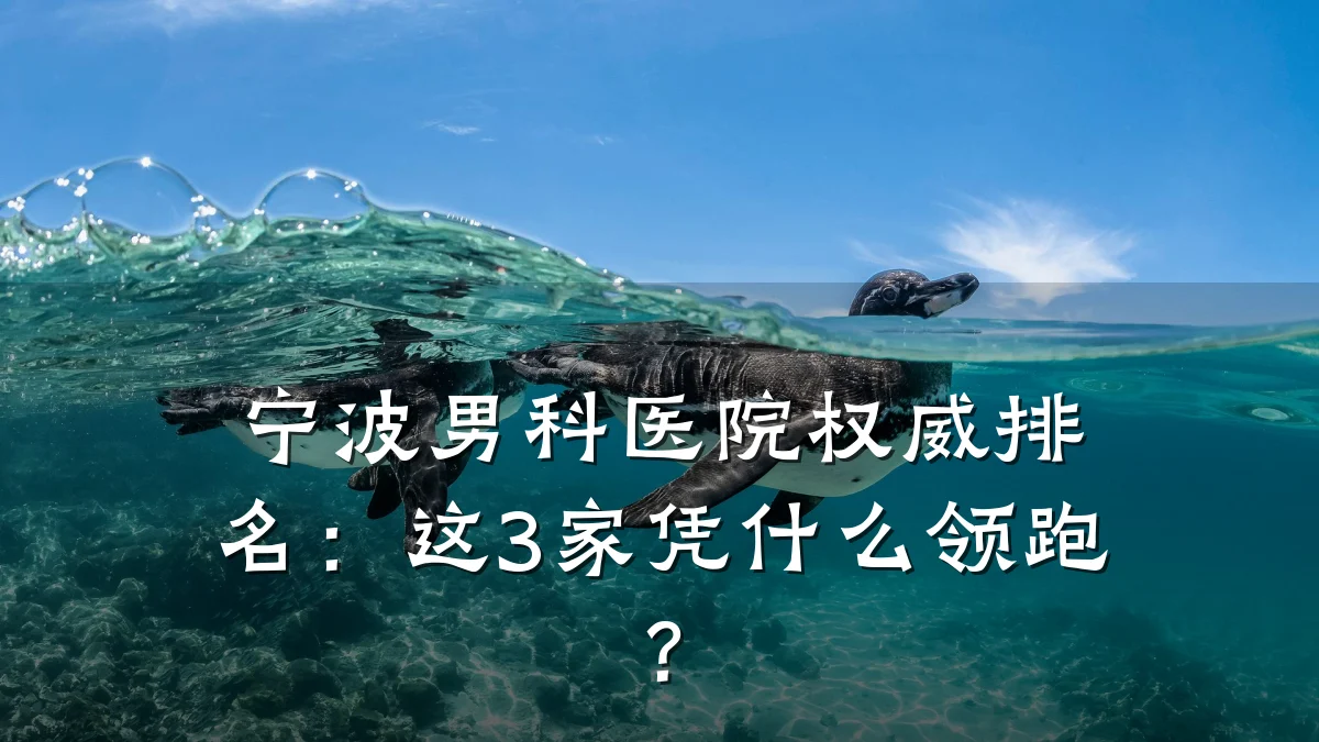 宁波男科医院权威排名:这3家凭什么领跑?