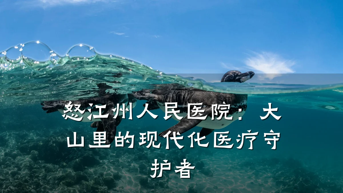 怒江州人民医院：大山里的现代化医疗守护者