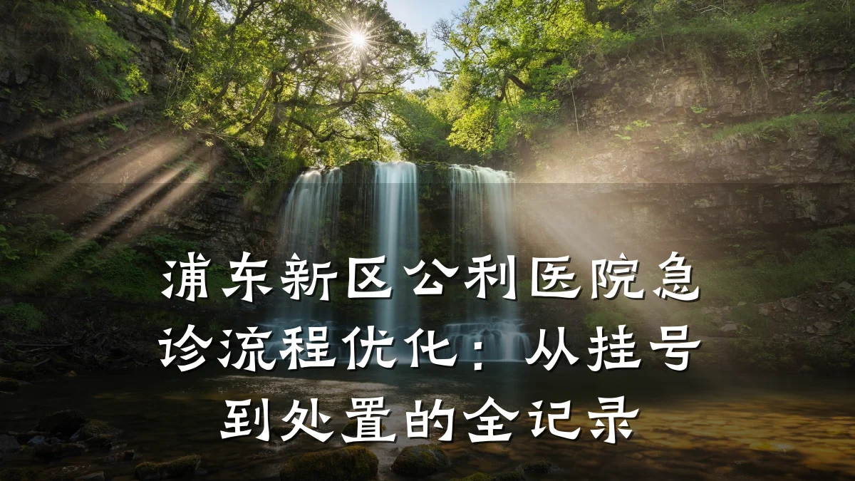 浦东新区公利医院急诊流程优化：从挂号到处置的全记录