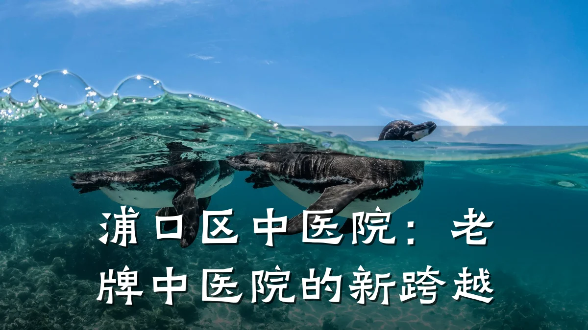 浦口区中医院:老牌中医院的新跨越