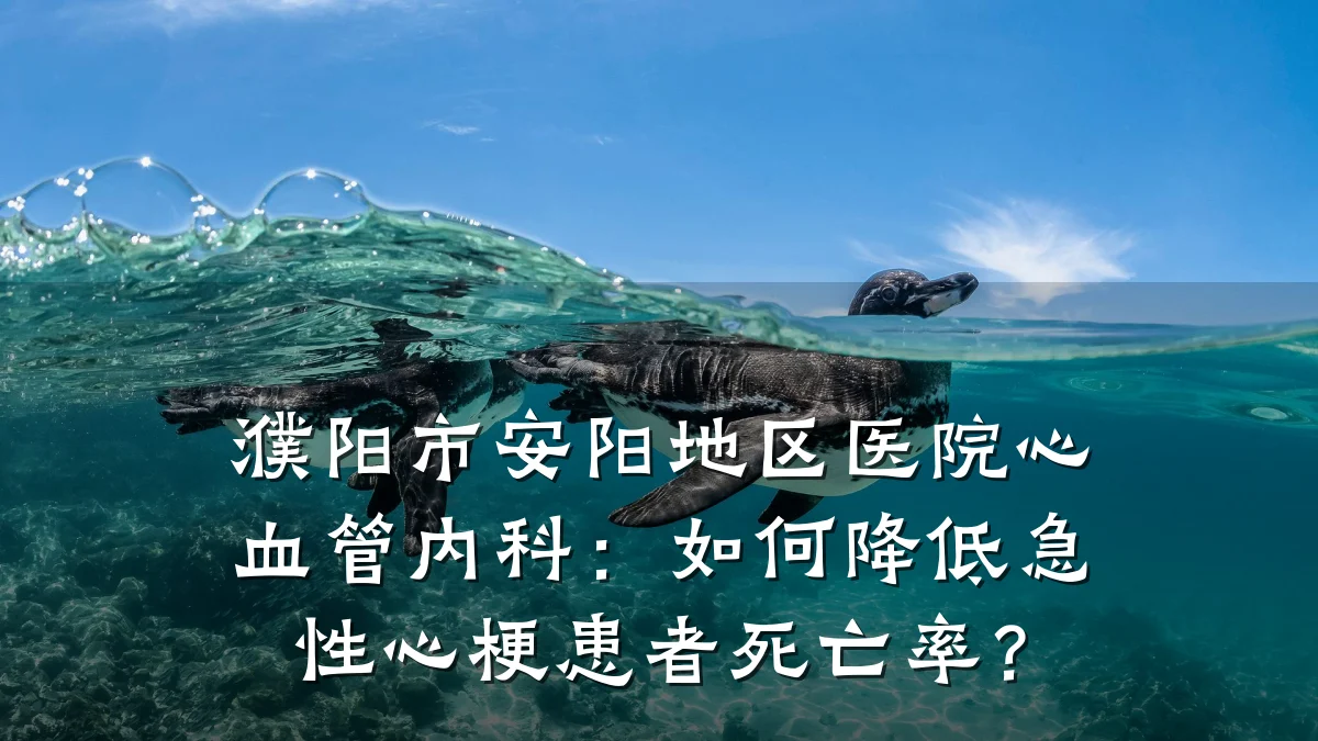 濮阳市安阳地区医院心血管内科：如何降低急性心梗患者死亡率？