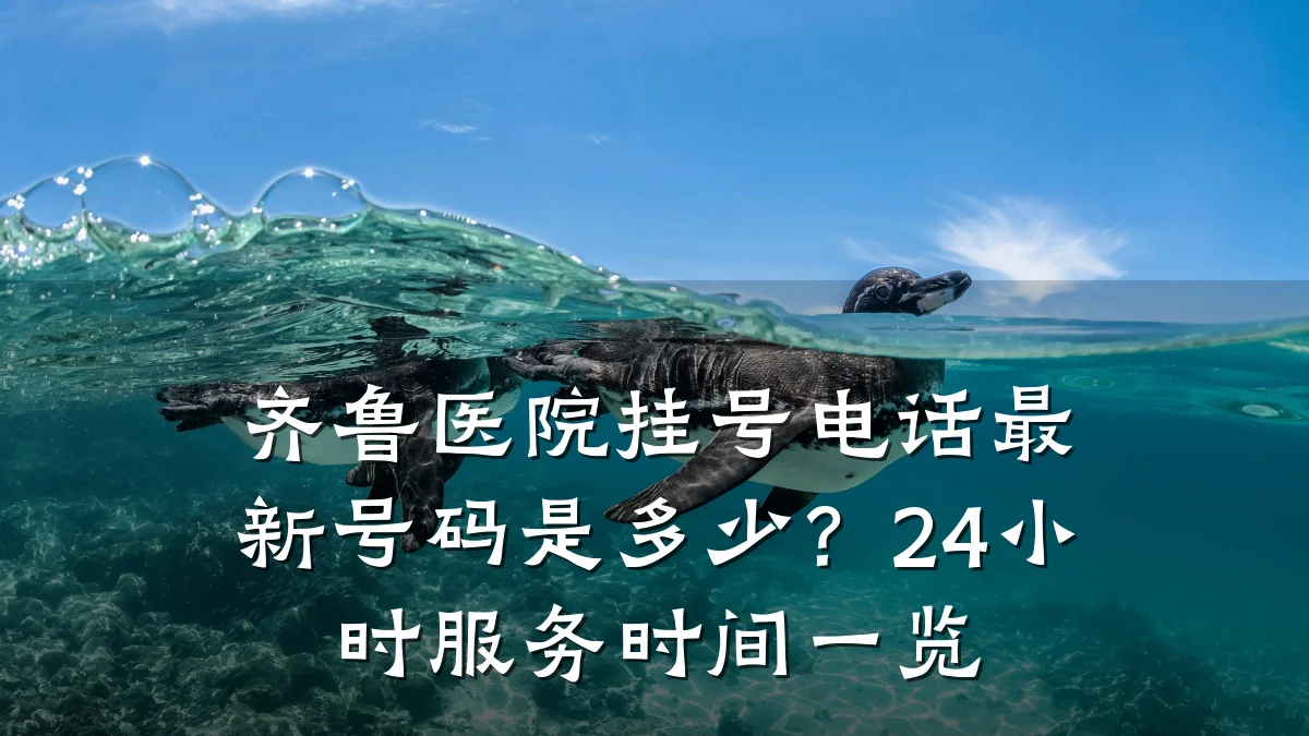 齐鲁医院挂号电话最新号码是多少?24小时服务时间一览