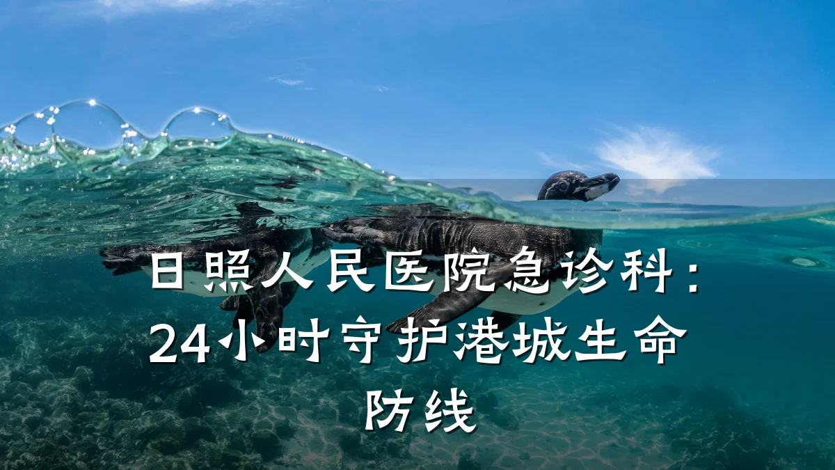 日照人民医院急诊科:24小时守护港城生命防线