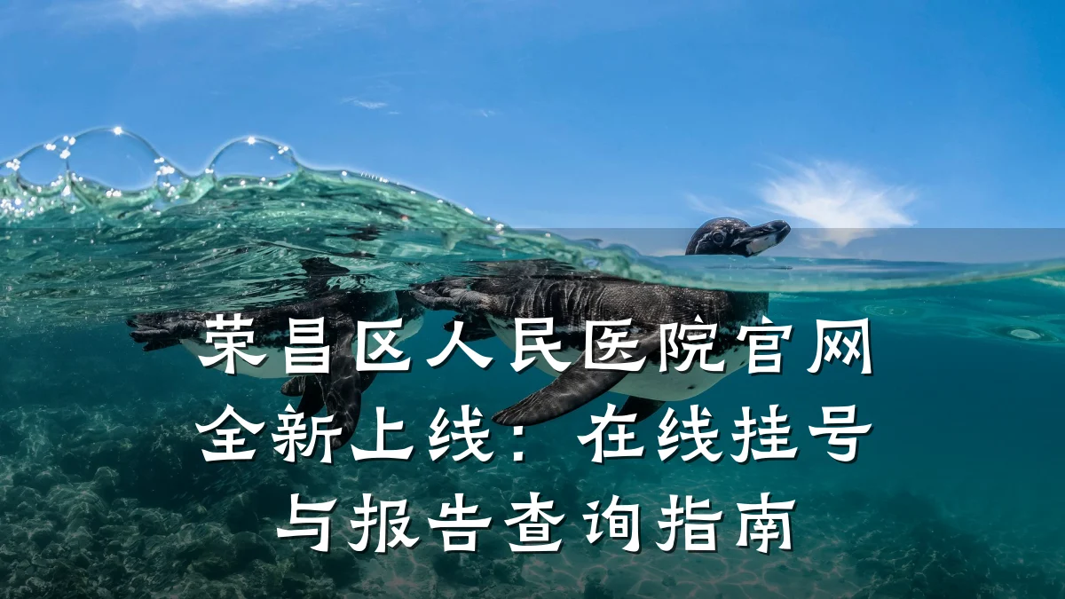 荣昌区人民医院官网全新上线:在线挂号与报告查询指南