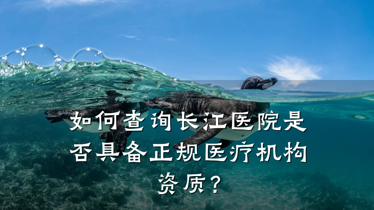如何查询长江医院是否具备正规医疗机构资质?