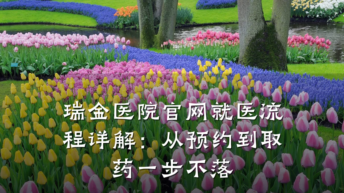 瑞金医院官网就医流程详解:从预约到取药一步不落