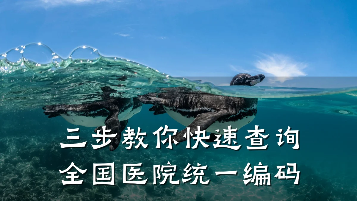 三步教你快速查询全国医院统一编码