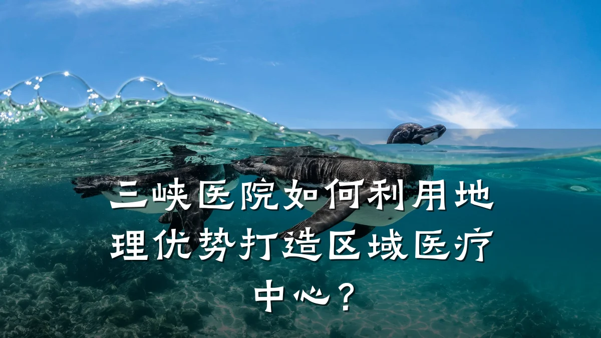 三峡医院如何利用地理优势打造区域医疗中心?