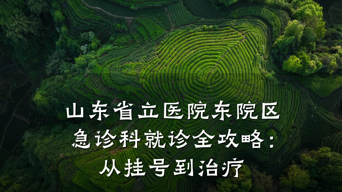 山东省立医院东院区急诊科就诊全攻略:从挂号到治疗