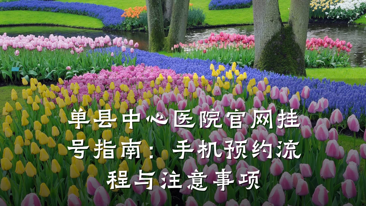 单县中心医院官网挂号指南:手机预约流程与注意事项