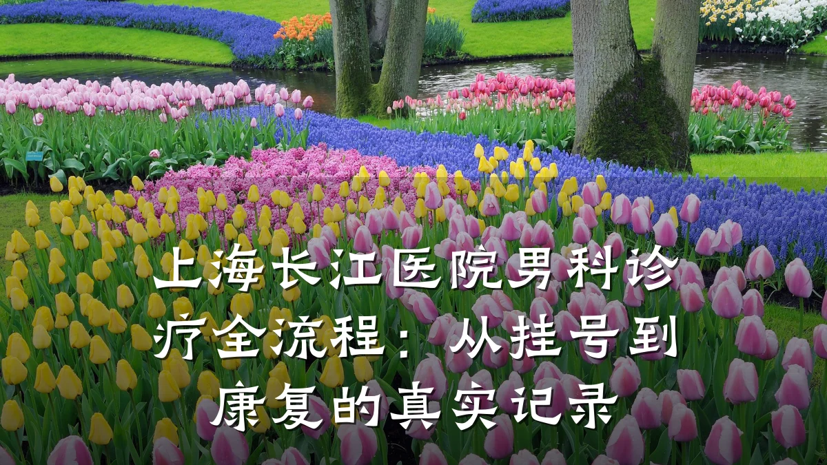 上海长江医院男科诊疗全流程:从挂号到康复的真实记录