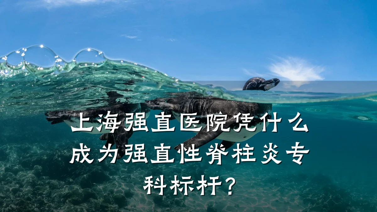 上海强直医院凭什么成为强直性脊柱炎专科标杆？