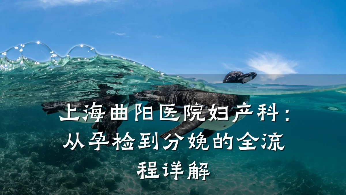 上海曲阳医院妇产科:从孕检到分娩的全流程详解