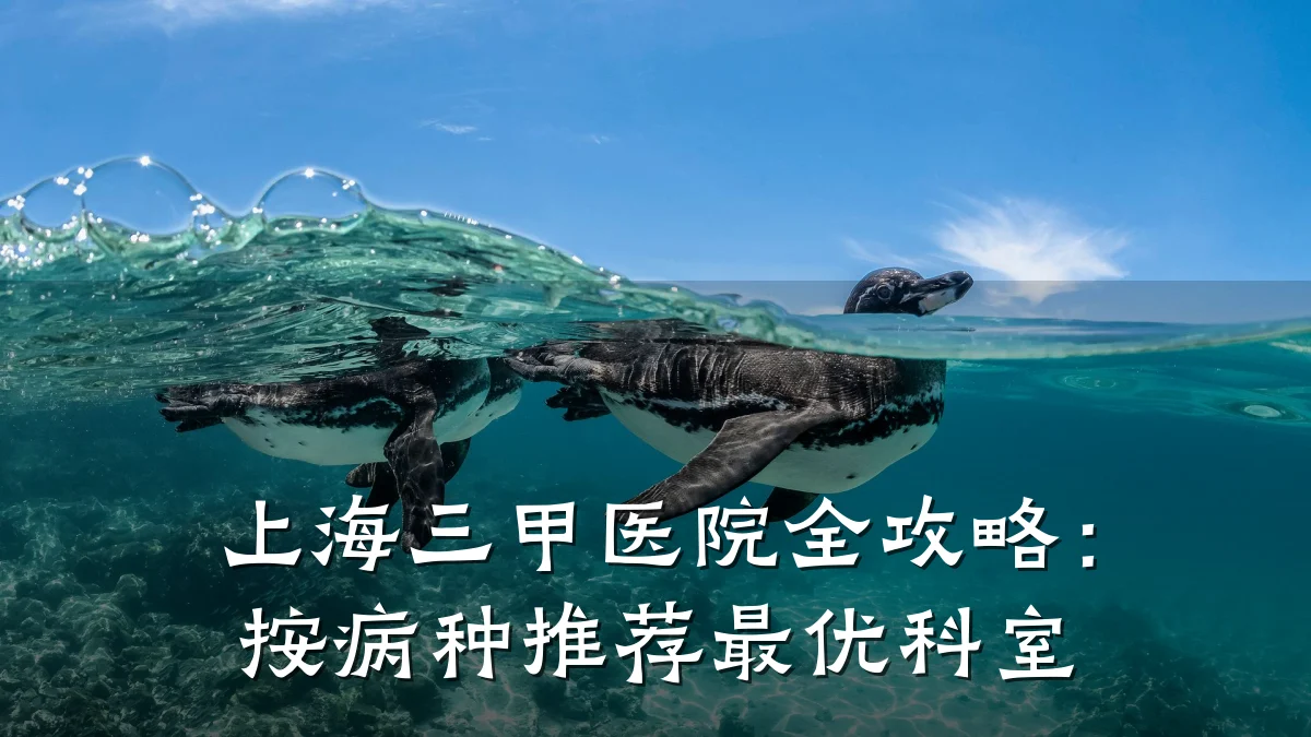 上海三甲医院全攻略:按病种推荐最优科室