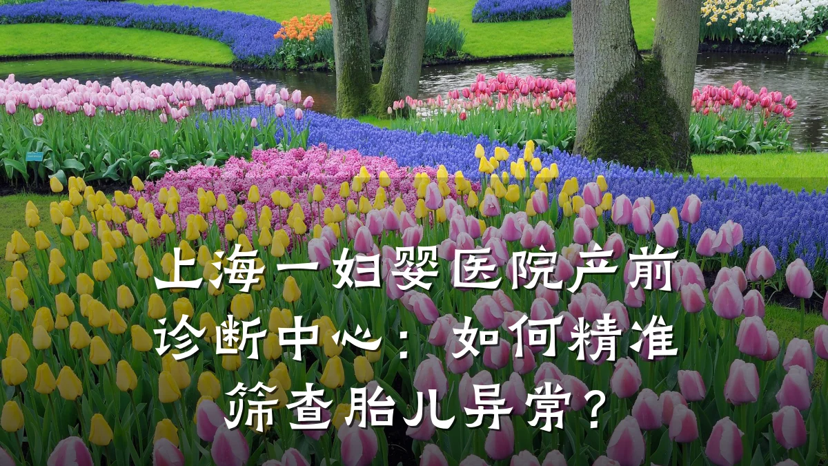 上海一妇婴医院产前诊断中心:如何精准筛查胎儿异常?