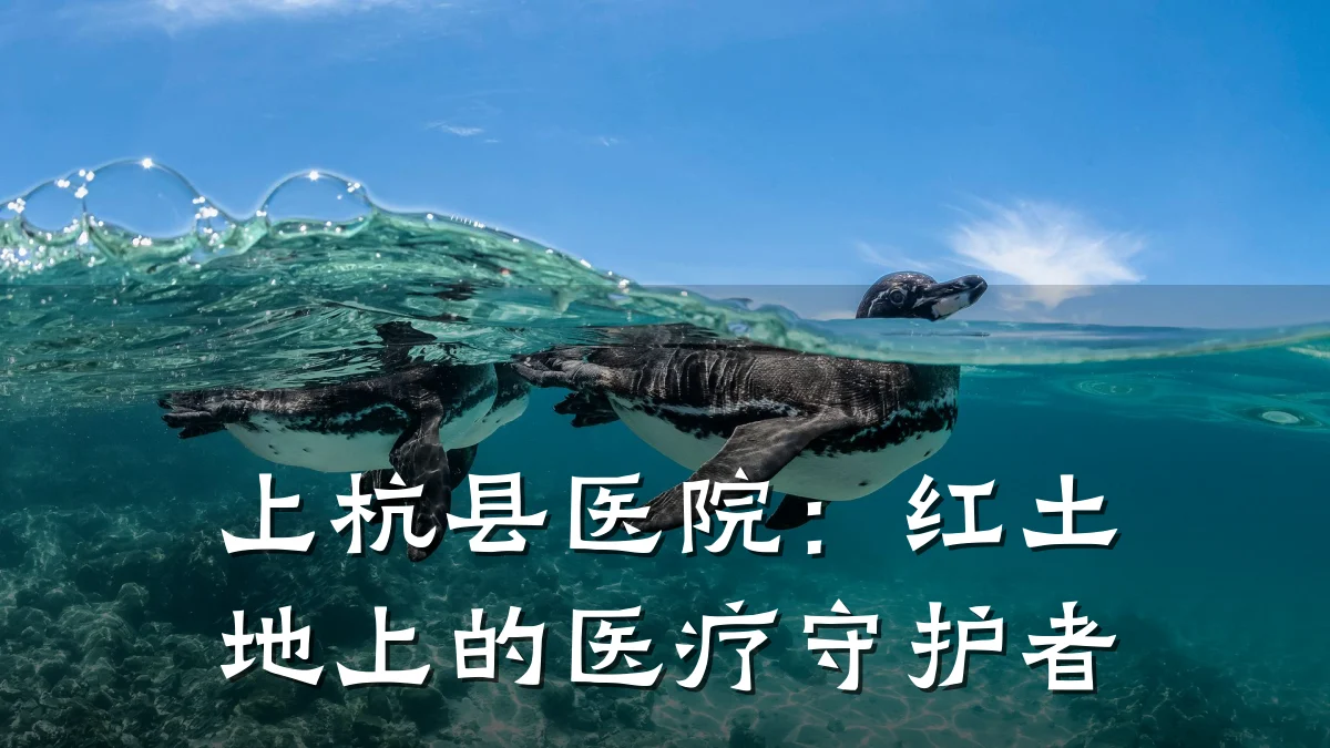 上杭县医院:红土地上的医疗守护者