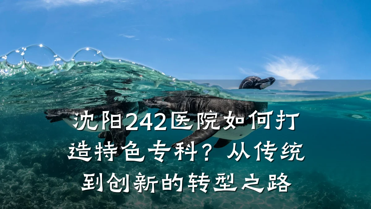 沈阳242医院如何打造特色专科?从传统到创新的转型之路