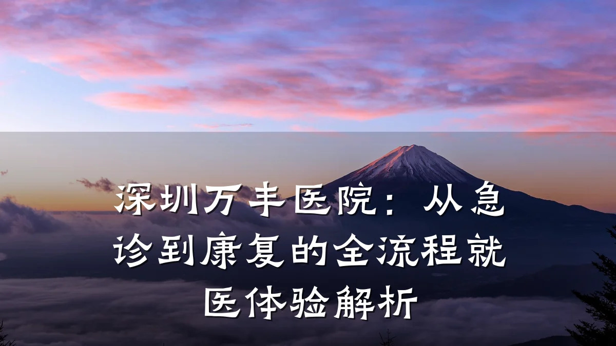 深圳万丰医院：从急诊到康复的全流程就医体验解析