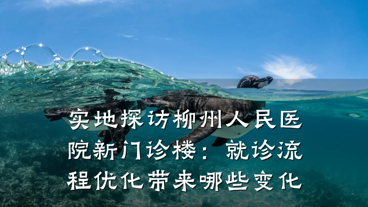 实地探访柳州人民医院新门诊楼:就诊流程优化带来哪些变化