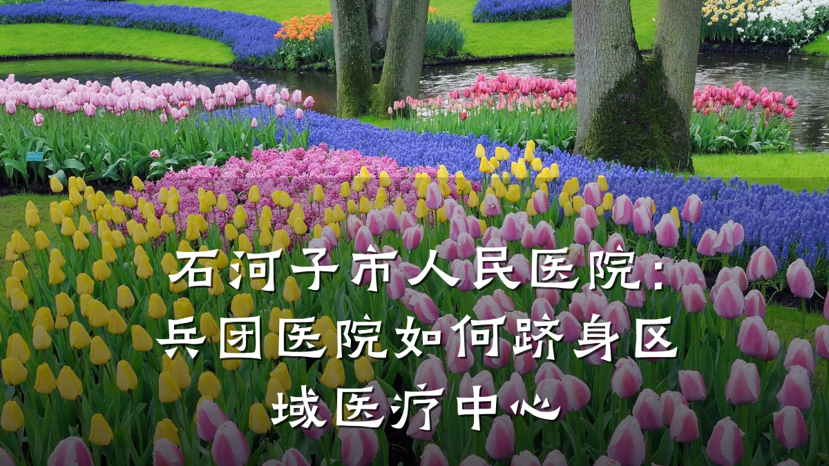 石河子市人民医院:兵团医院如何跻身区域医疗中心