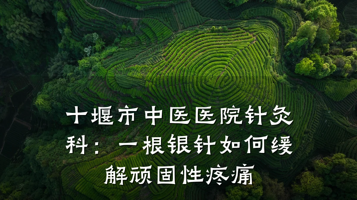 十堰市中医医院针灸科:一根银针如何缓解顽固性疼痛