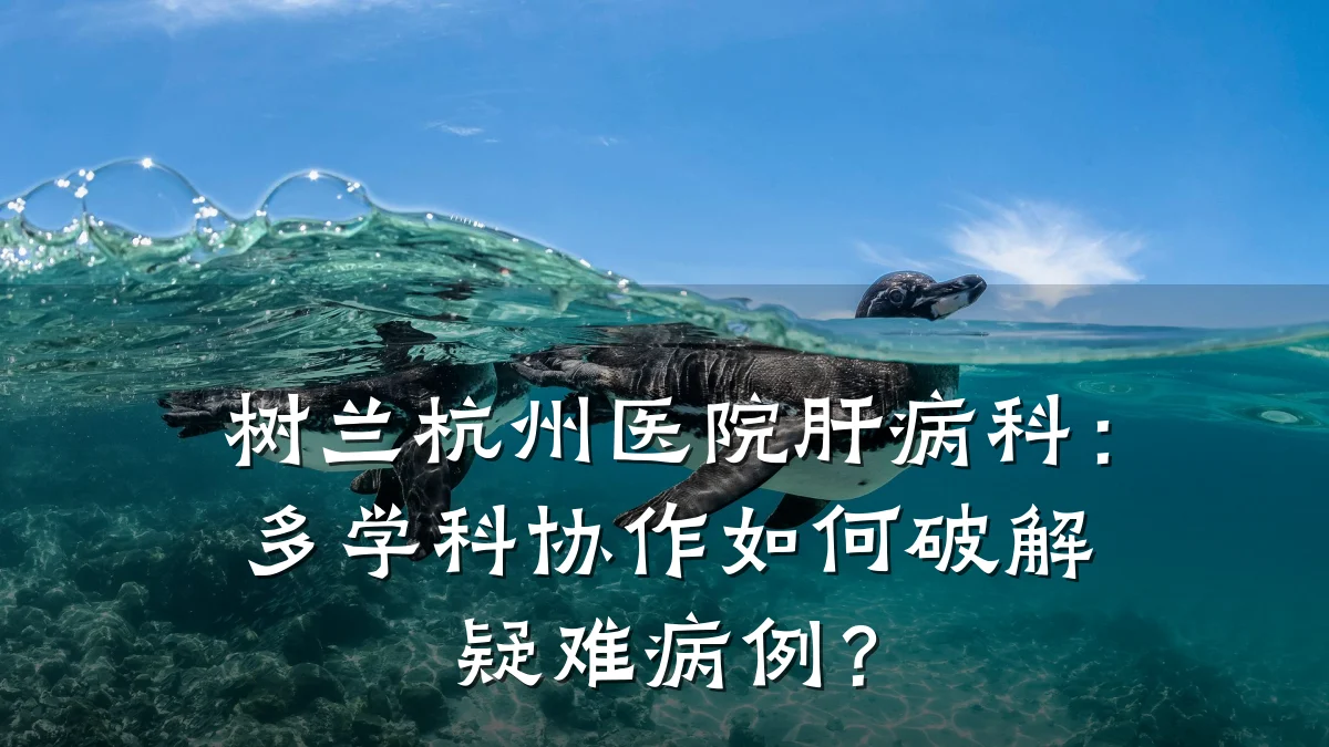 树兰杭州医院肝病科:多学科协作如何破解疑难病例?