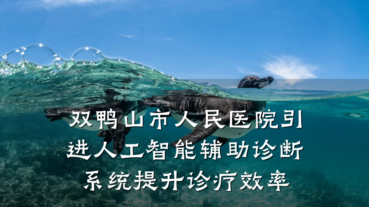 双鸭山市人民医院引进人工智能辅助诊断系统提升诊疗效率