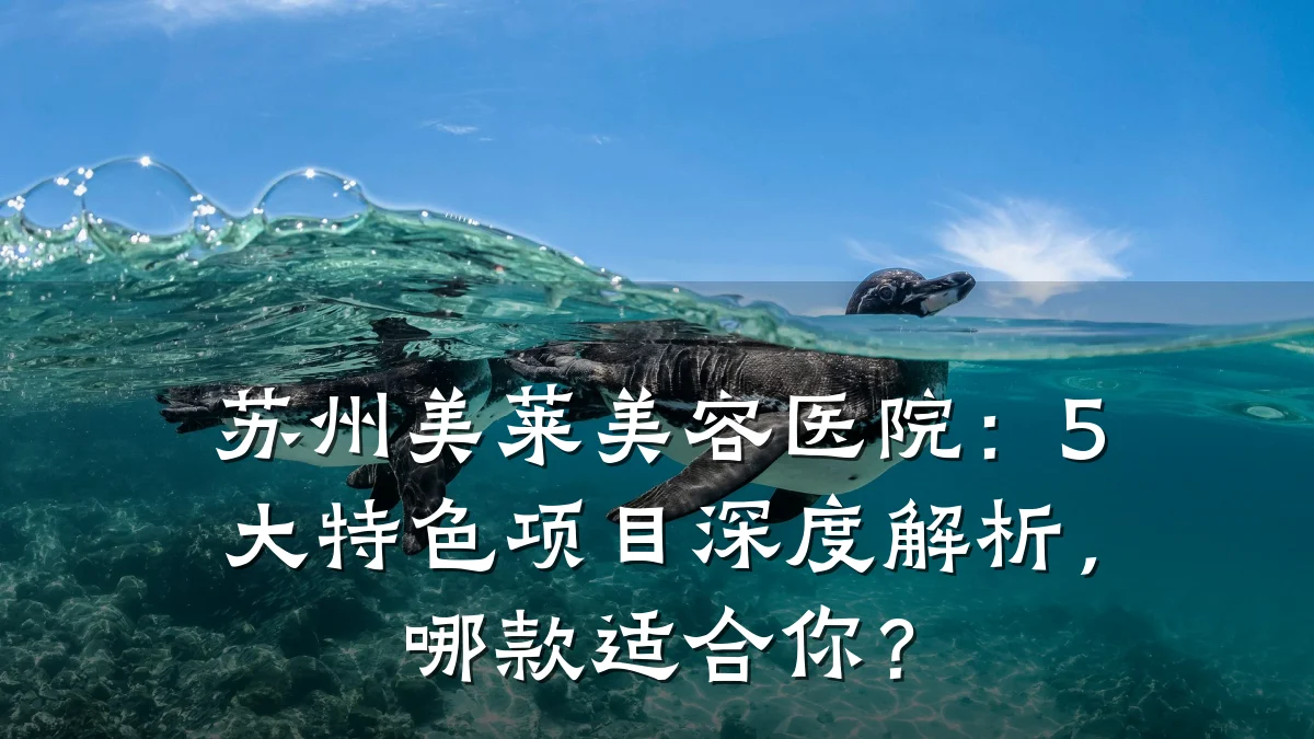 苏州美莱美容医院:5大特色项目深度解析,哪款适合你?