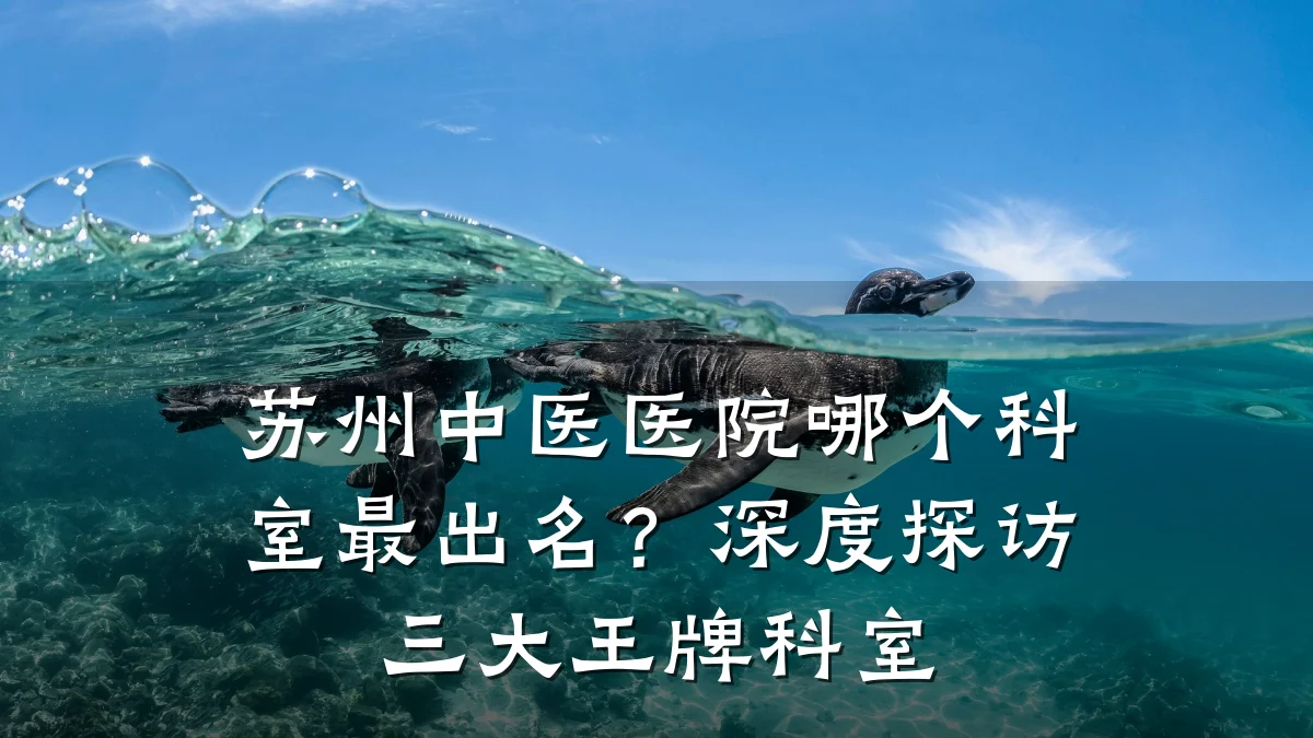 苏州中医医院哪个科室最出名？深度探访三大王牌科室
