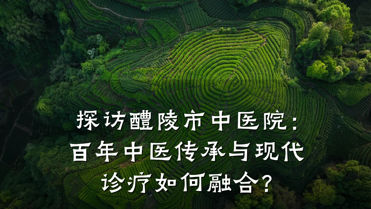 探访醴陵市中医院:百年中医传承与现代诊疗如何融合?