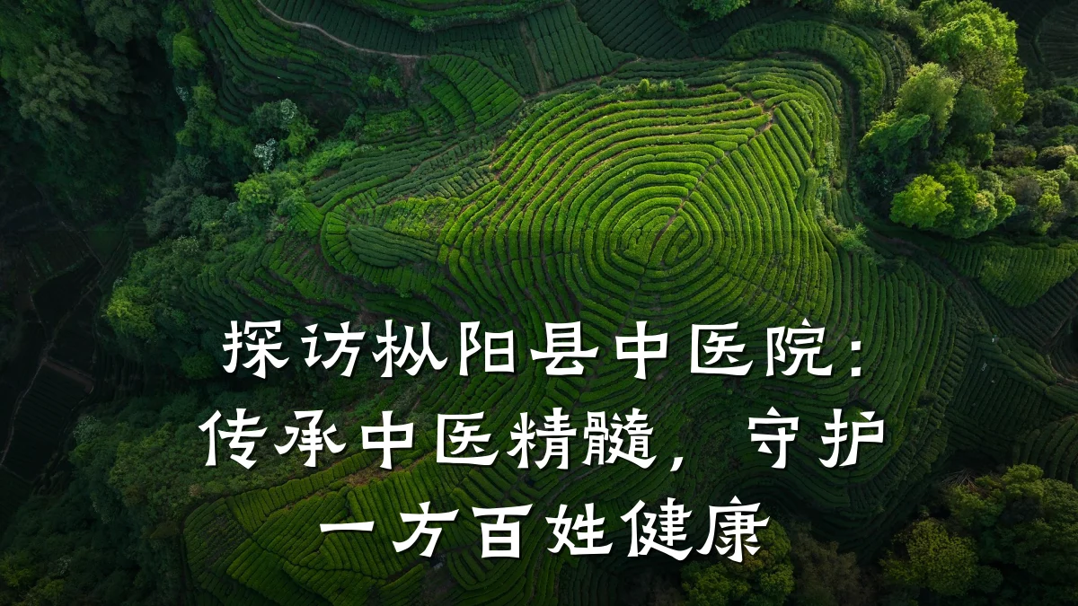 探访枞阳县中医院:传承中医精髓,守护一方百姓健康