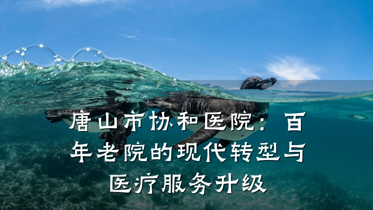 唐山市协和医院:百年老院的现代转型与医疗服务升级