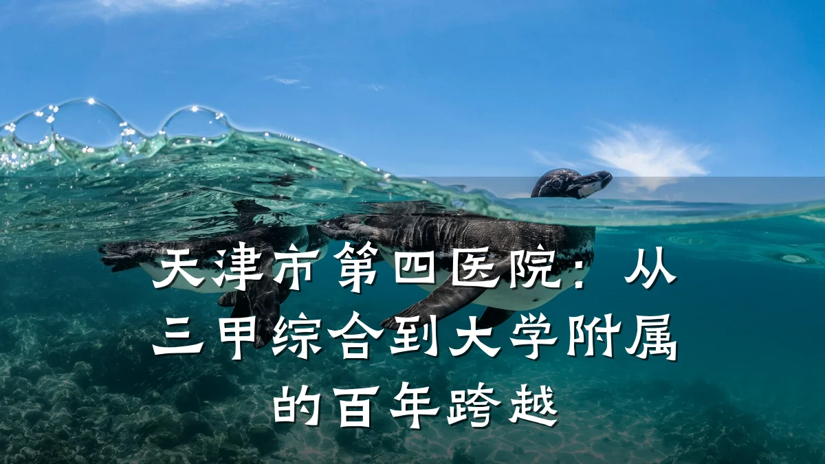 天津市第四医院:从三甲综合到大学附属的百年跨越