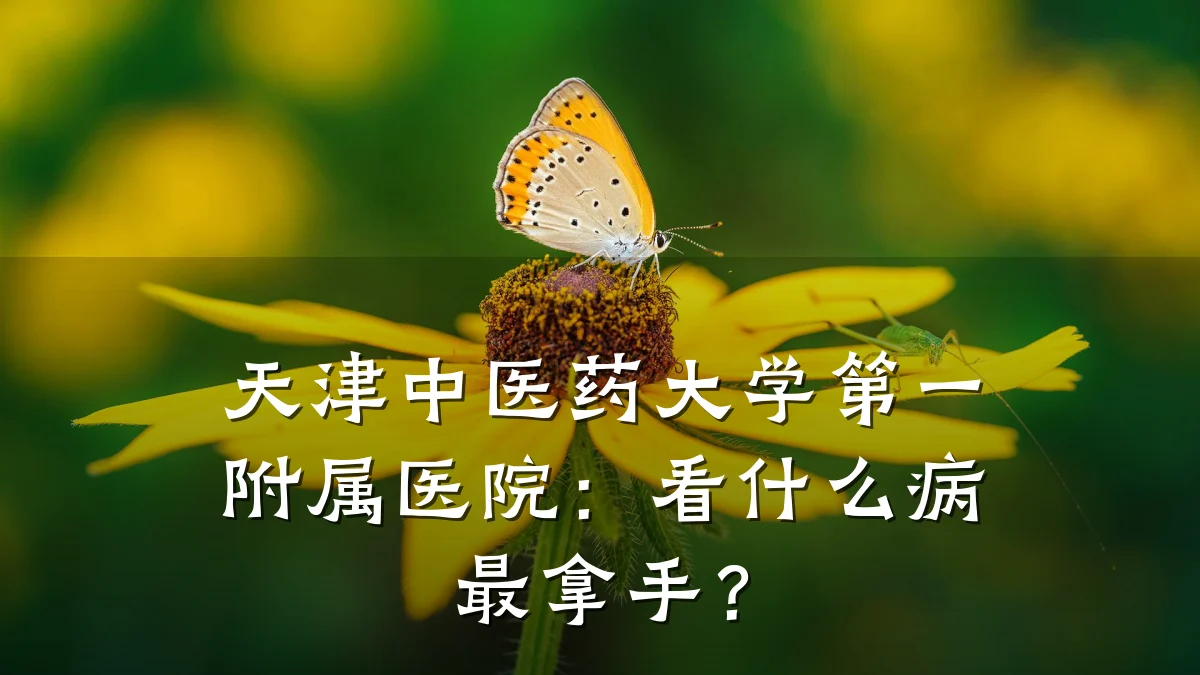 天津中医药大学第一附属医院:看什么病最拿手?