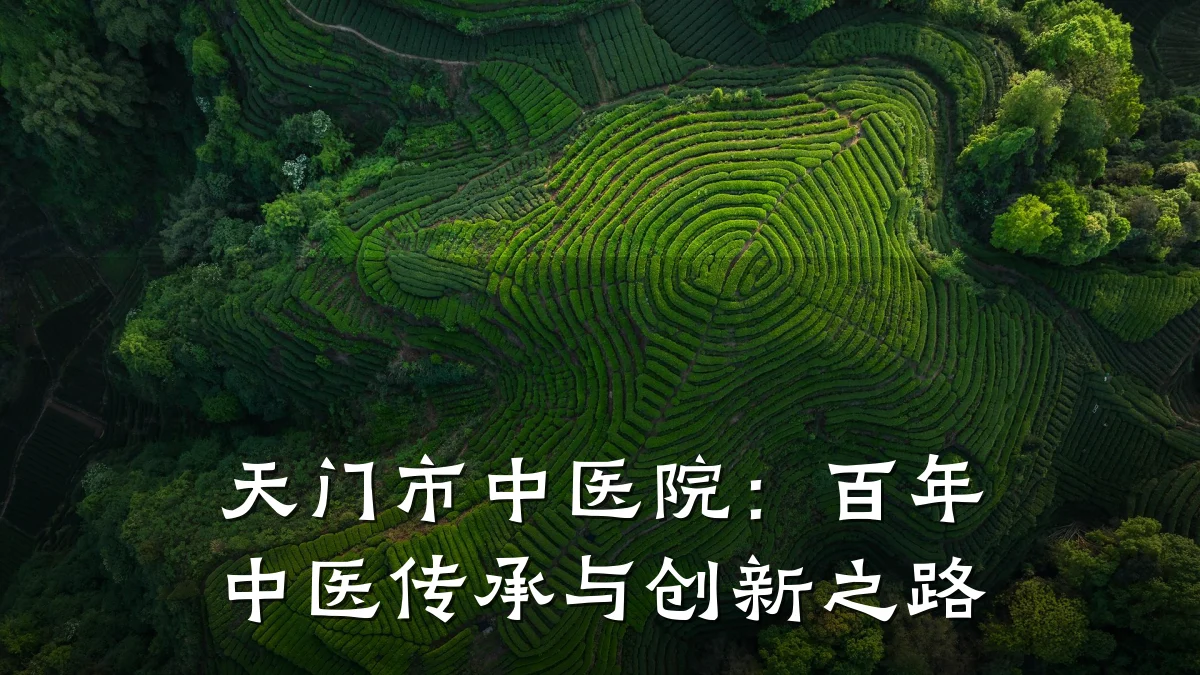 天门市中医院:百年中医传承与创新之路