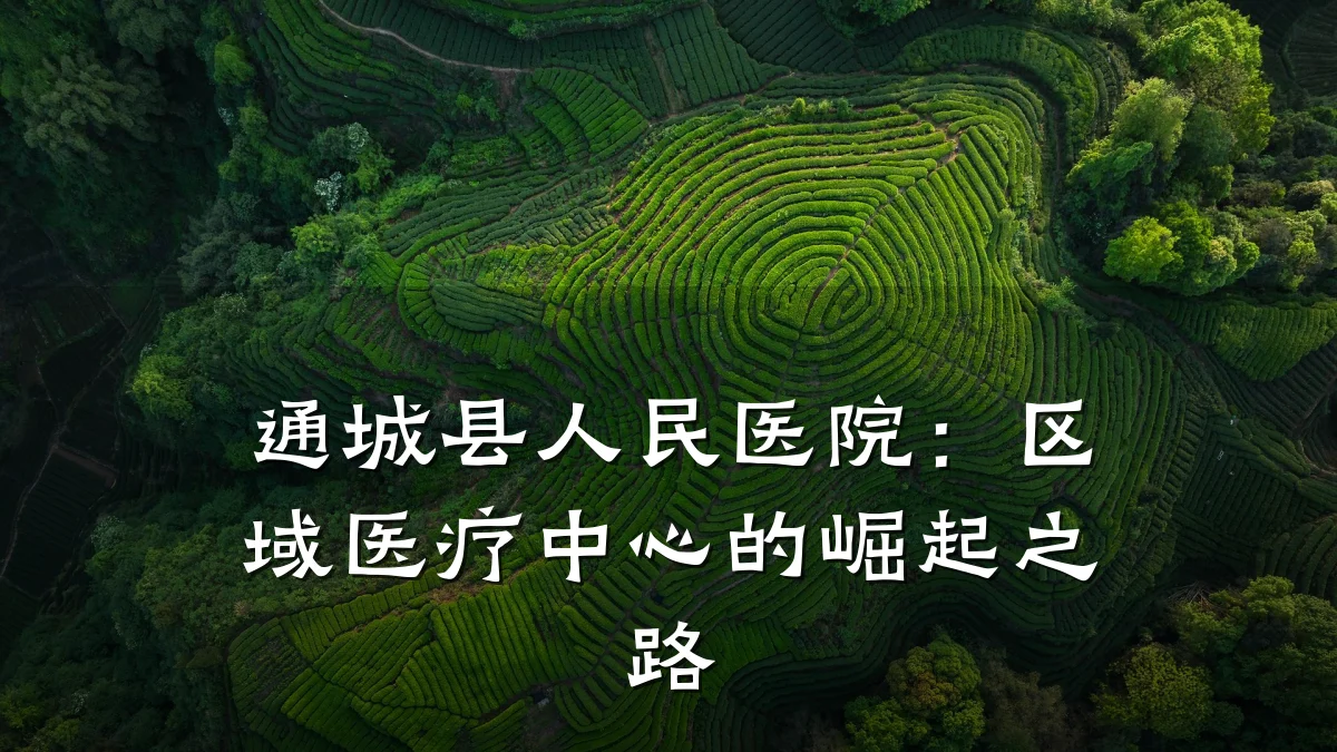通城县人民医院：区域医疗中心的崛起之路