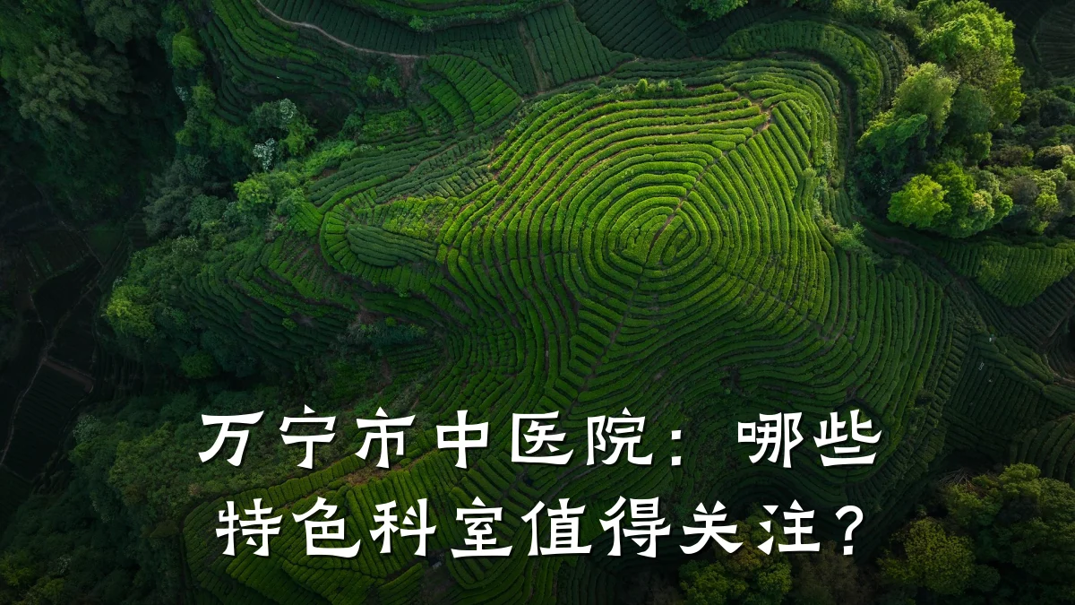 万宁市中医院:哪些特色科室值得关注?
