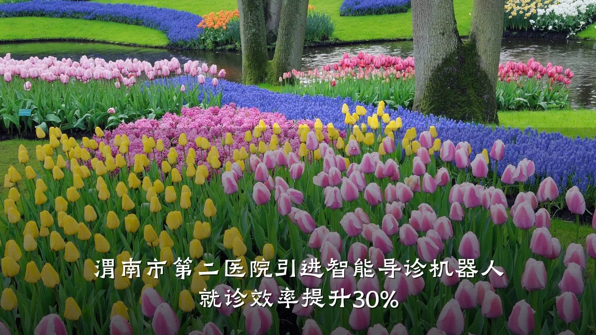 渭南市第二医院引进智能导诊机器人 就诊效率提升30%