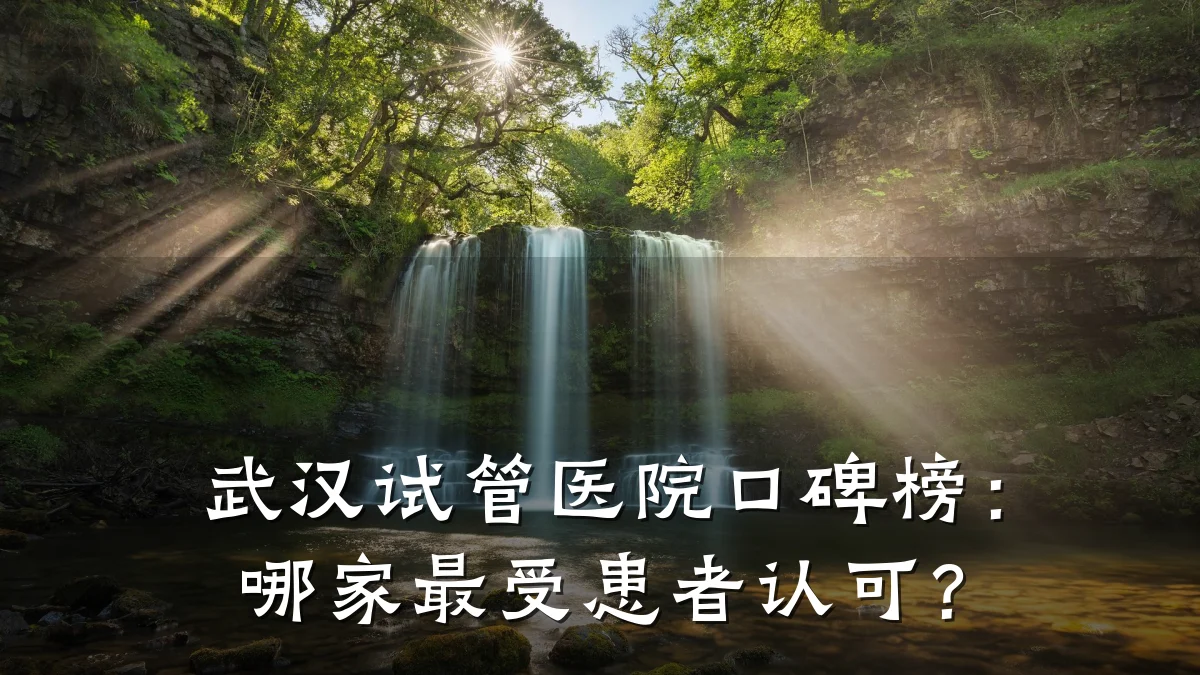 武汉试管医院口碑榜:哪家最受患者认可?