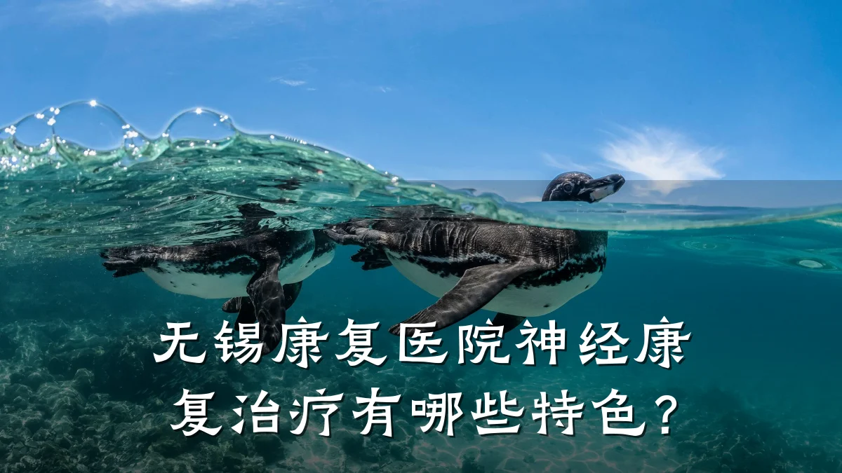 无锡康复医院神经康复治疗有哪些特色？