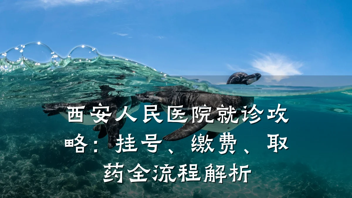 西安人民医院就诊攻略:挂号、缴费、取药全流程解析
