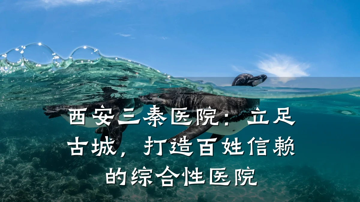 西安三秦医院：立足古城，打造百姓信赖的综合性医院