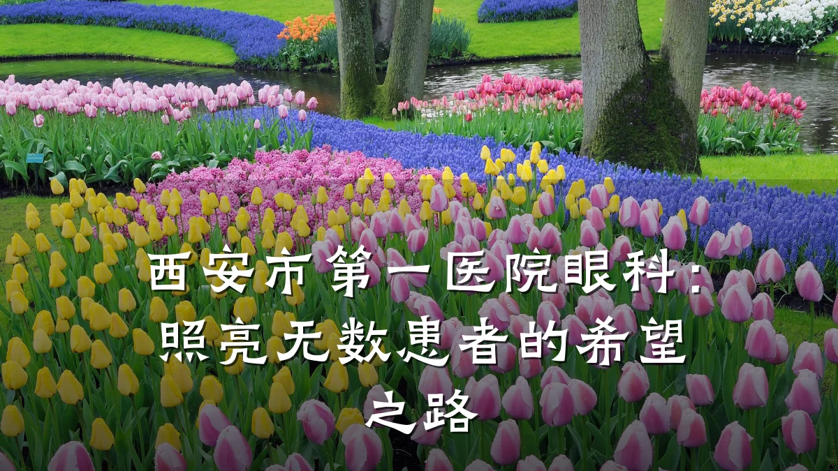 西安市第一医院眼科:照亮无数患者的希望之路