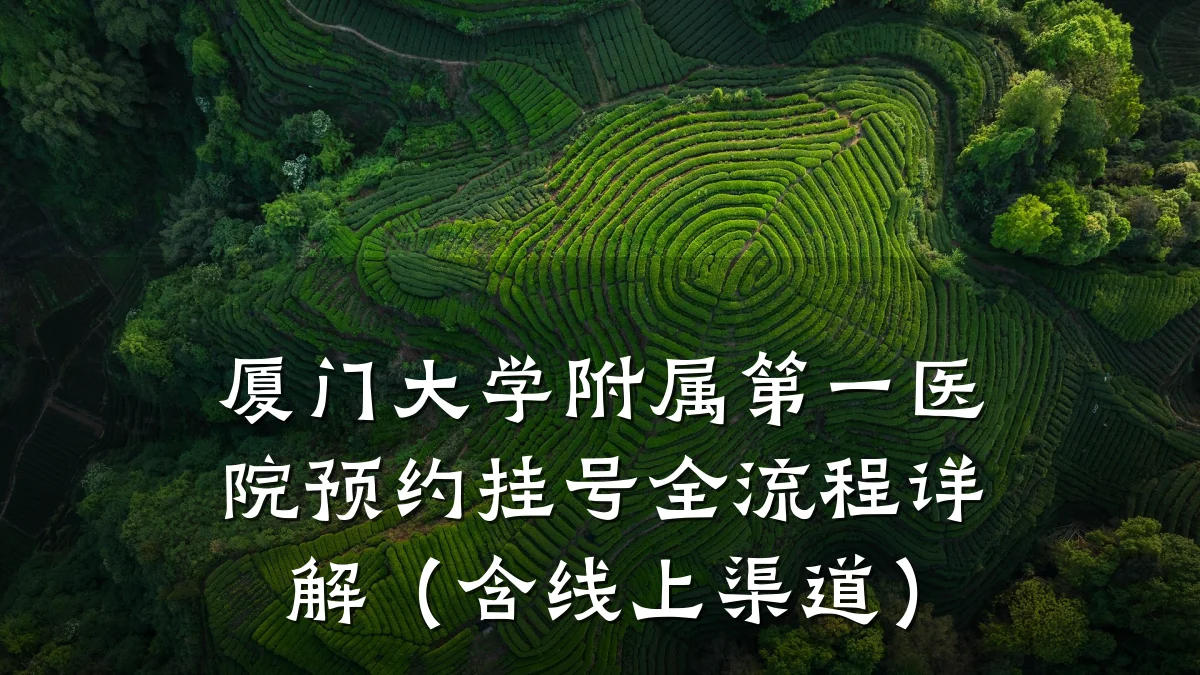 厦门大学附属第一医院预约挂号全流程详解（含线上渠道）