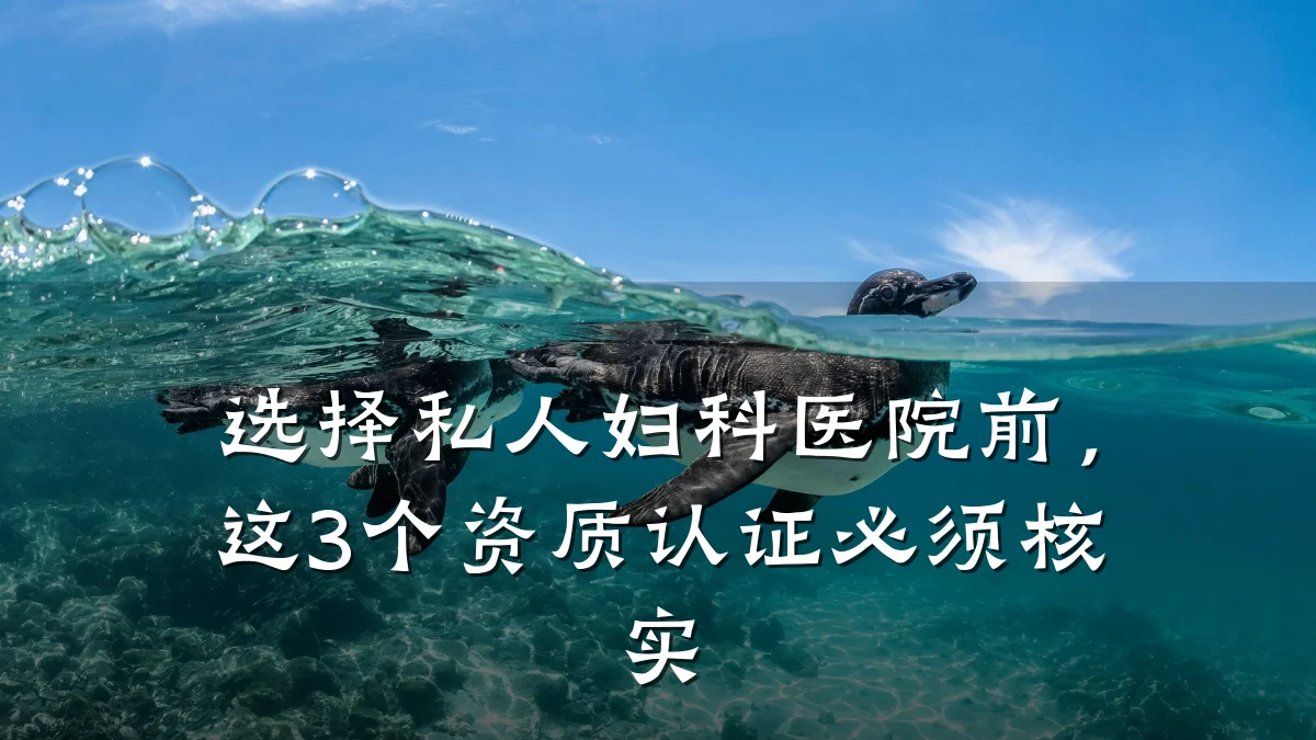 选择私人妇科医院前,这3个资质认证必须核实
