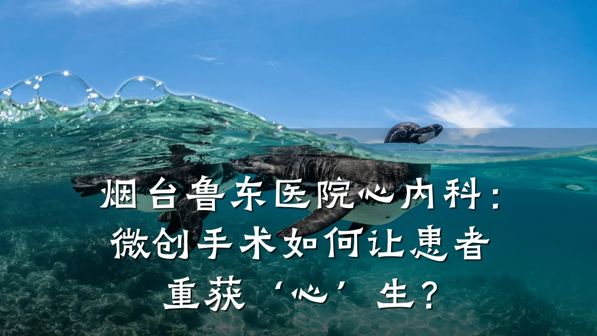 烟台鲁东医院心内科：微创手术如何让患者重获‘心’生？